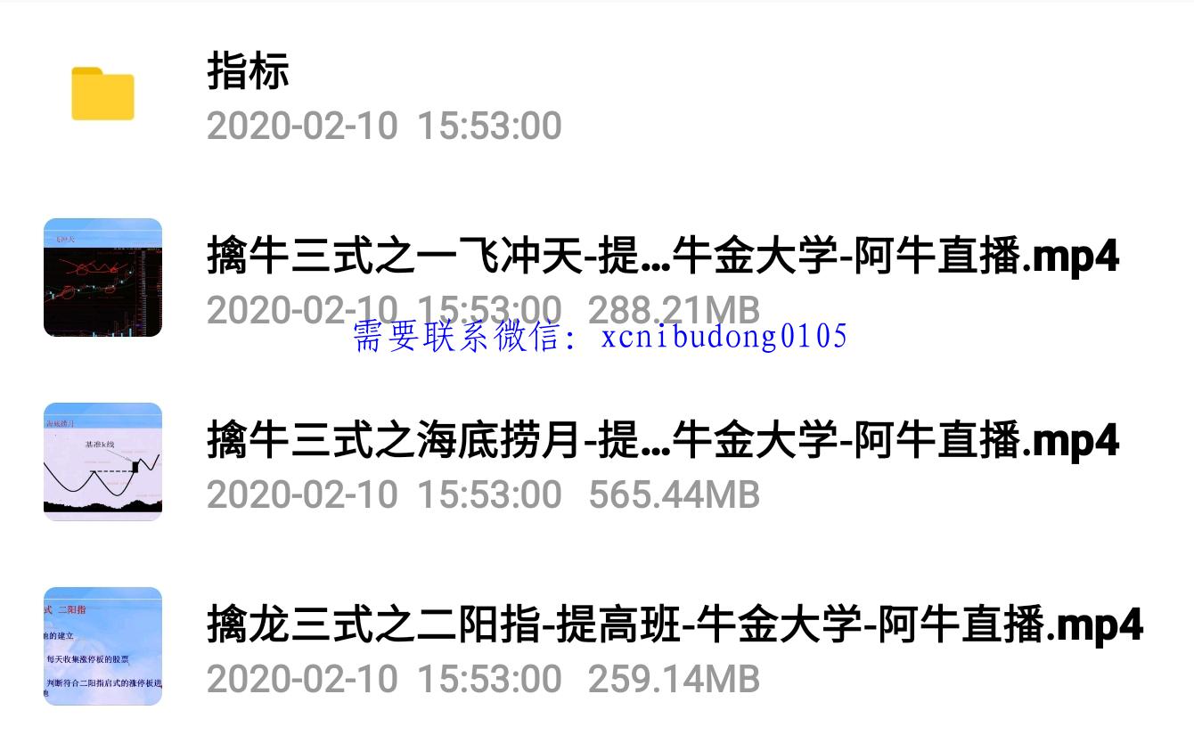点掌财经牛金大学杨殿方擒牛三式视频指标-股票波段交易视频