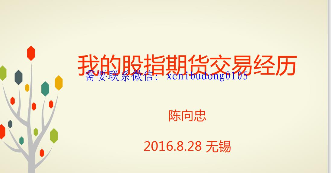 陈向忠2016年无锡线下我的股指期货交易经历一个小时录音ppt-期货日间波段交易