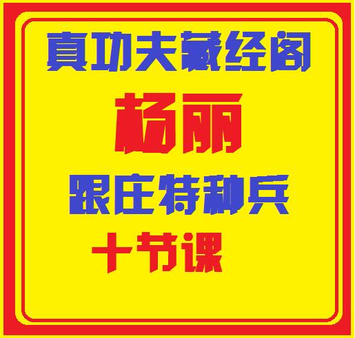 理财真功夫藏金阁杨丽跟庄特种兵视频课程-波殴交易指标公式