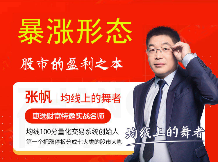 张帆 暴涨形态 股市的盈利之本 股票课程