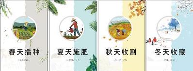 猫哥课堂 东方玉猫双均线布林技术体系