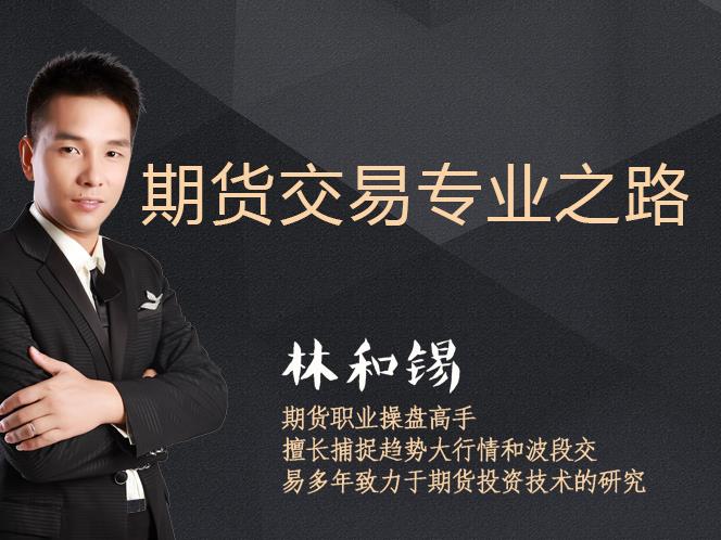 林和锡 期货交易专业之路 期货交易视频