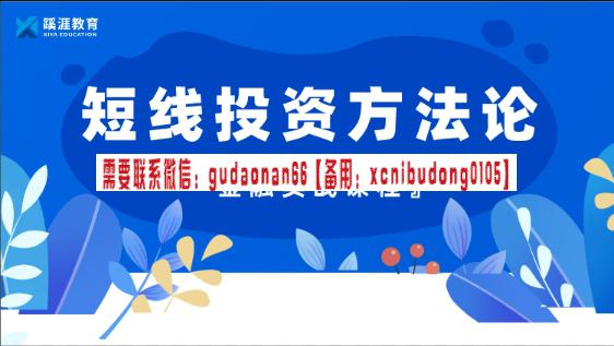 阿尔法涨停 短线投资方法论 视频课程-期货入门课程