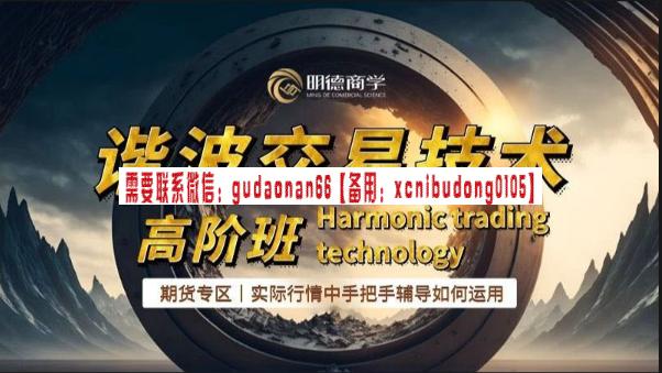 明德商学院 钟奎明   谐波交易系统高阶班实战课程-李永强期货日内及波段趋势交易