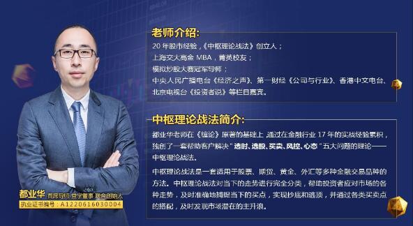 都业华 中枢理论战法 2024年中枢新系统课 视频+文档-期货从业资格 课程