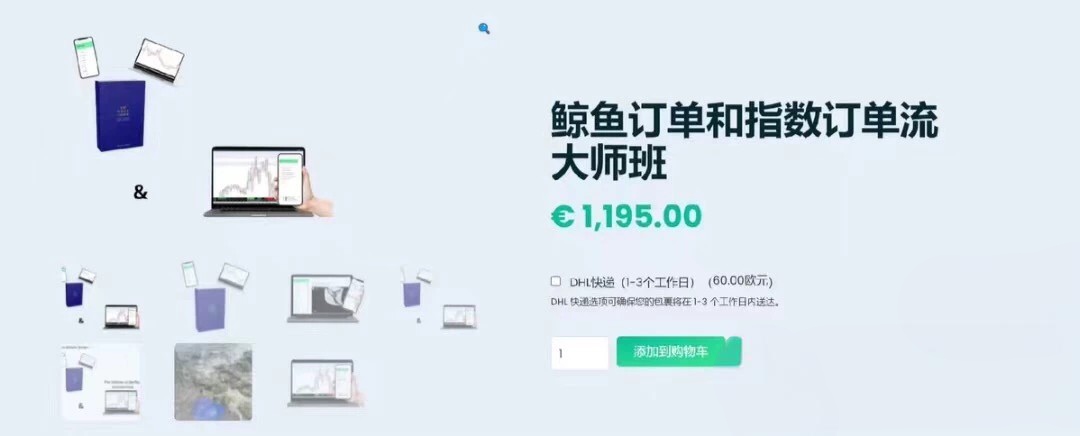 鲸鱼订单流 外汇剥头皮 The Whale Order - The Forex Scalpers外汇实战视频-外汇波段交易高手