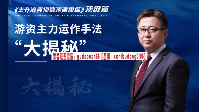 鸿升课堂老金《主升浪食物链顶层思维》顶级篇视频课程-期货波段交易精题