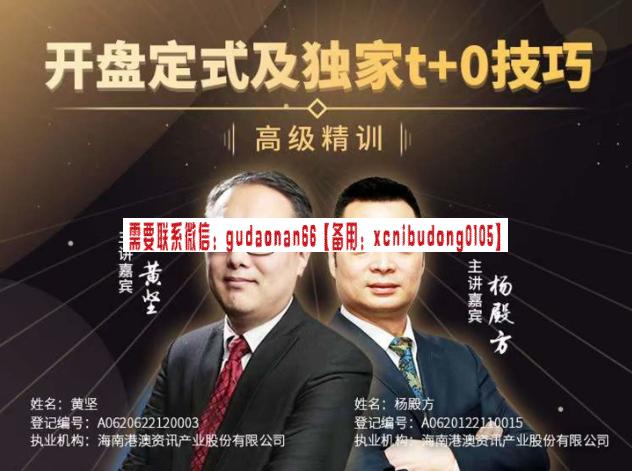 杨殿方 开盘定式及独家t+0技巧2023-波段损作交易系统