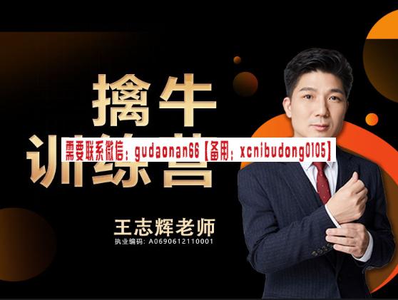 王志辉擒牛训练营视频课程-趋势和波段交易的区别