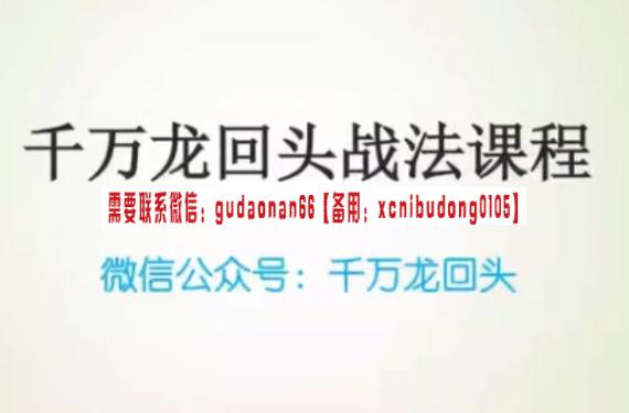 公众号千万龙回头龙哥《千万龙回头战法课程》-外汇波段交易