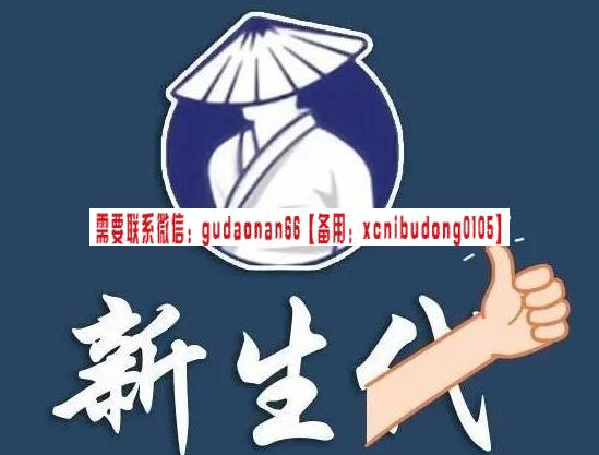 新生代作手2023年股票交易系统课 19视频-外汇交易技巧波段划分