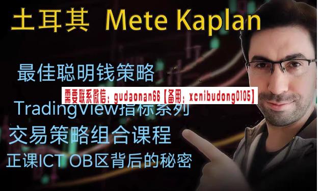 Mete Kaplan 交易大师私教课-波段交易法期货