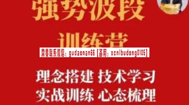 易者老余 强势波段训练营-美股波段交易