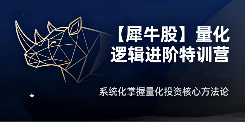 犀牛哥量化逻辑进阶特训营 盘口承接力、看盘复盘、周期板块、模式战法-期货数据分折师课程